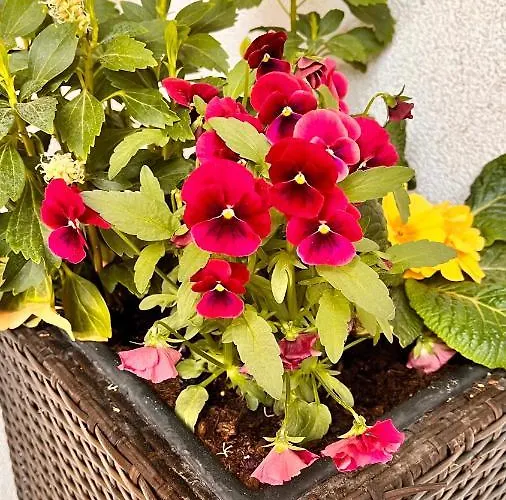 Herta アパート Durnau